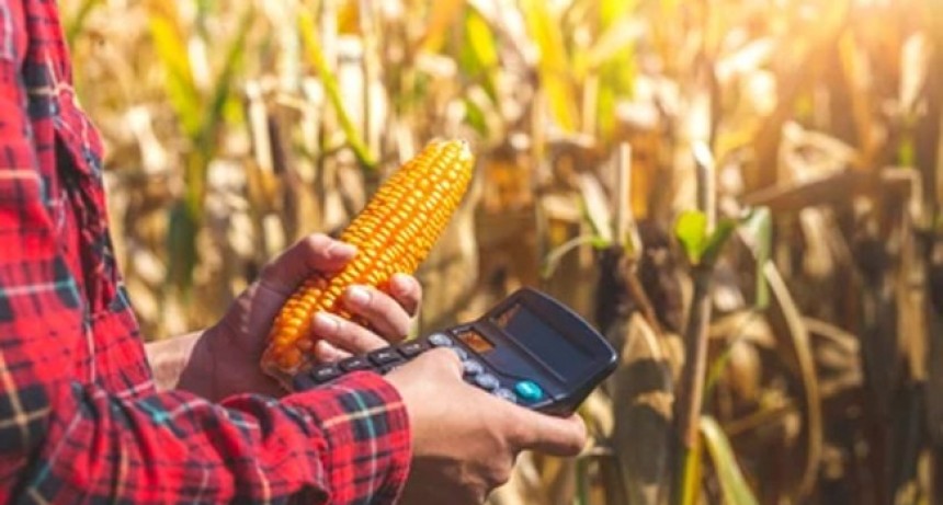 ¿Vender granos o tomar un crédito?, qué conviene según Hernán Satorre de CREA