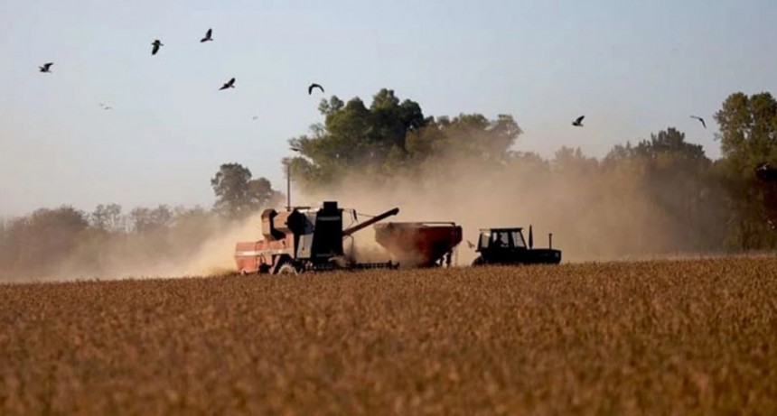 Calor y baja de precios internacionales restaron U$S 4700 millones al valor agregado del agro