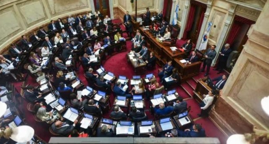 Rechazo al mega DNU: ¿Cómo votaron los senadores?