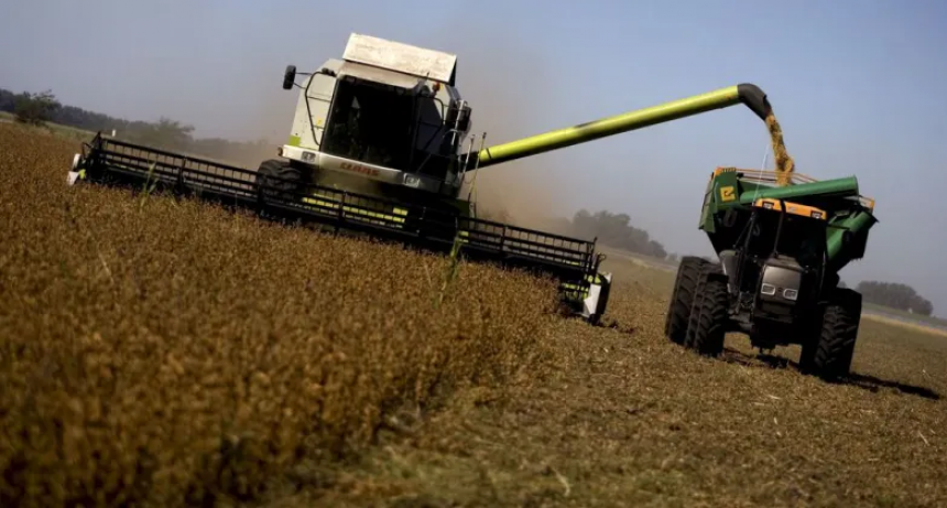  Es correntino el primer lote de soja de la campaña