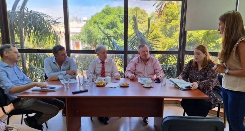 Cómo reconocer al mosquito del dengue y durante el día cuándo pica más