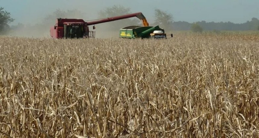 Sube la presi&oacute;n tributaria por mayores costos y menores precios agr&iacute;colas 