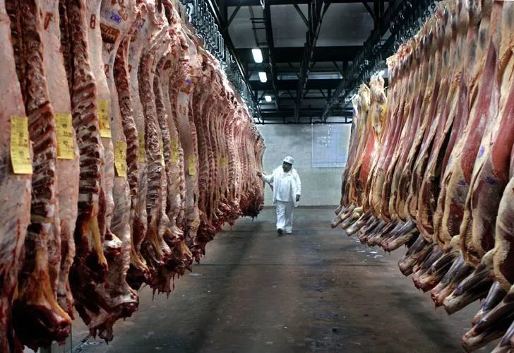 La carne tiene dos caras: ganadería rentable y frigoríficos complicados por la baja en exportaciones