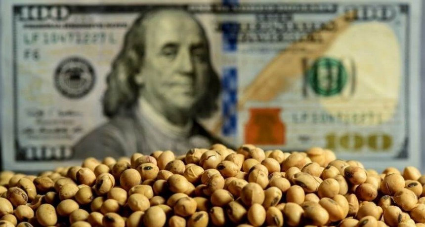 El balance del primer mes con retenciones “rebajadas”: las ventas de soja crecieron 32%