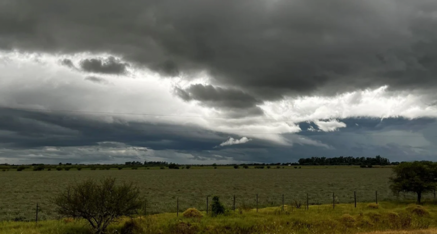 Soja: por el aporte de más precipitaciones el rinde alcanzaría los 40 qq/ha en algunas zonas