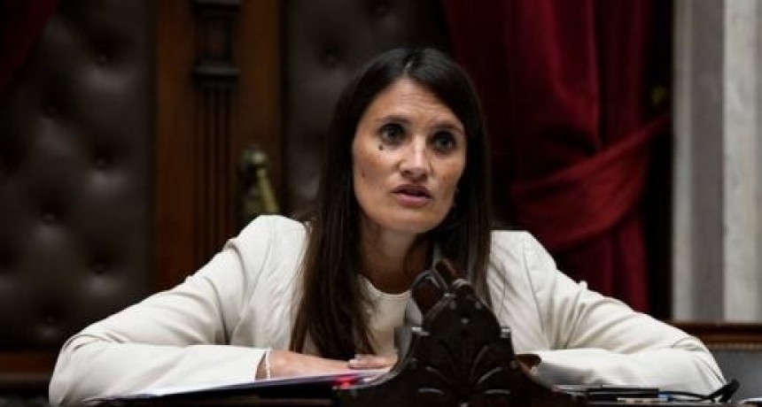 Melina Giorgi y las amenazas a Manes: “No es un hecho aislado”