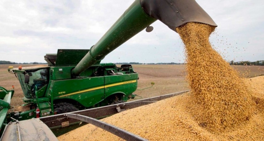 Uno de cada cuatro dólares de exportaciones los aportó la soja
