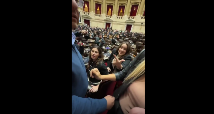 La trastienda del escándalo en Diputados: por qué se desencadenó la pelea de peronistas y libertarios