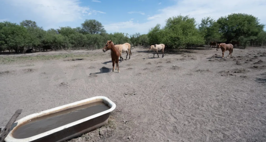 Santa Fe prorrogó la emergencia agropecuaria por seis meses e incorporó nuevas regiones