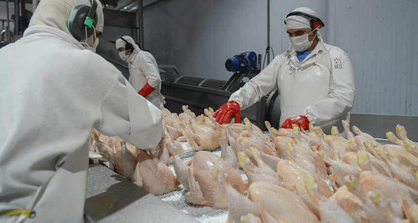Celebra la cadena de la carne aviar: China reabrió su mercado para las exportaciones argentinas