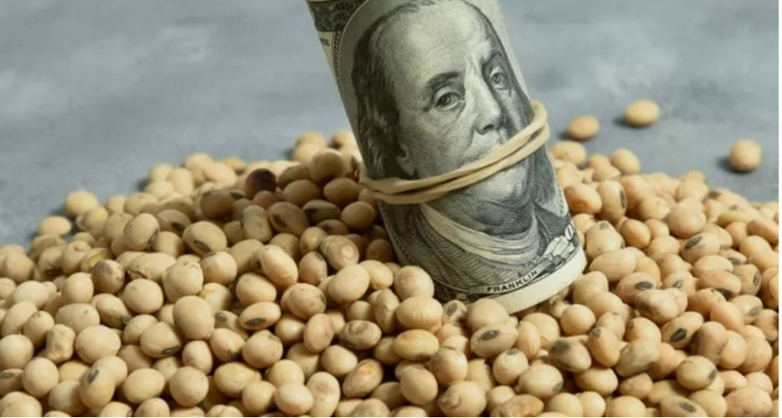 ¿Presionará el dólar a la suba de los precios agrícolas?