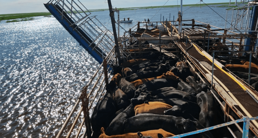 Por las islas del Paraná también navegan las quejas del campo por las tasas municipales