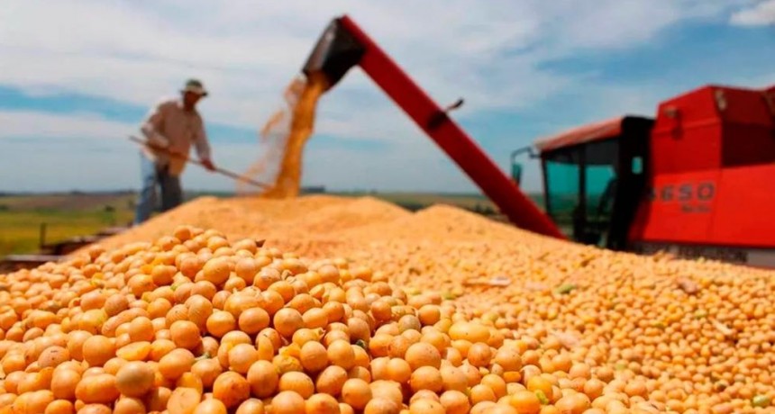 Informe revela a China como el principal socio comercial de Santiago del Estero