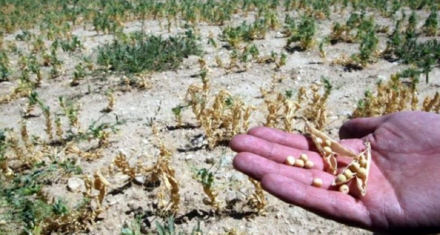 Los del campo, ¿siempre lloran?