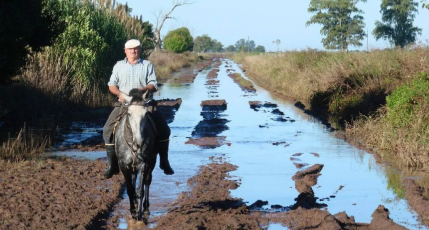 Tasa por Hectárea: la movida legal que acorrala a municipios y comunas