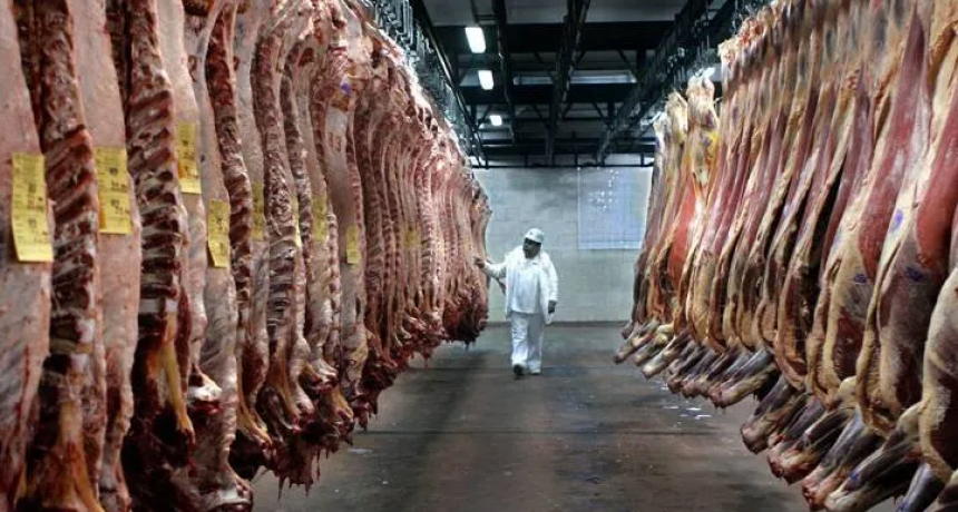 La carne tiene dos caras: ganadería rentable y frigoríficos complicados por la baja en exportaciones