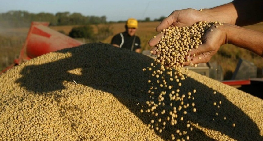 Soja con tonada: el primer lote de la cosecha 2024/25 llegó al Gran Rosario desde Córdoba