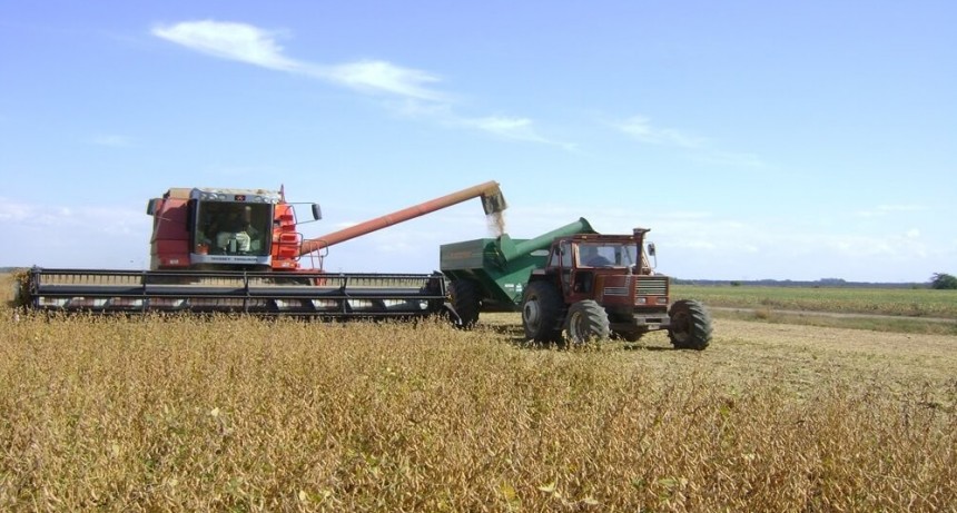 Las dos “décadas pérdidas” de la soja: el precio casi se duplicó, pero el productor pierde dinero