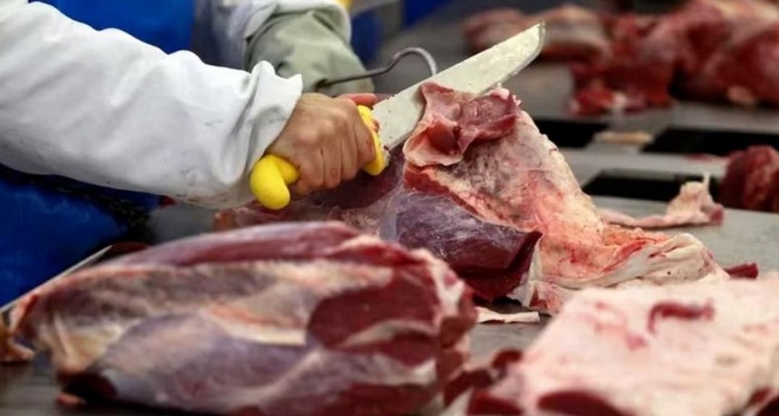 &iquest;Cambio de era en la cadena de ganados y carnes?