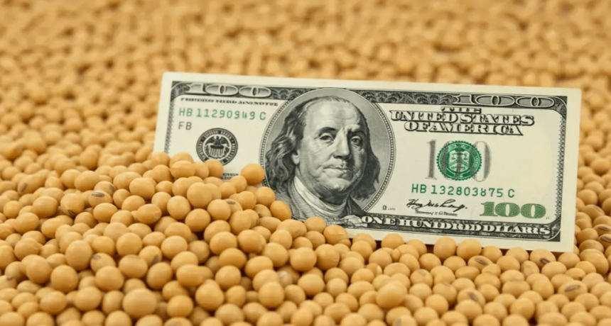 La ca&iacute;da de la liquidaci&oacute;n no fue casualidad: en febrero se desplomaron las ventas y molienda de soja