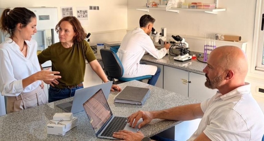 De los laboratorios al campo: Santa Fe mostrar&aacute; en Expoagro biotecnolog&iacute;a ganadera que ya se exporta