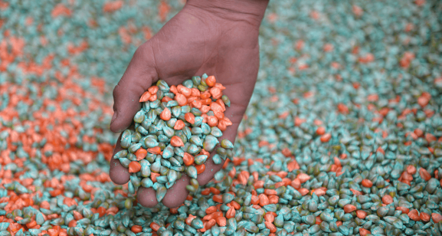 Los granos y los fertilizantes bajo tensi&oacute;n: el agro mira con atenci&oacute;n la guerra en Medio Oriente