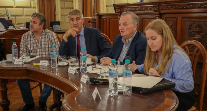 Ley de cuidacoches en Santa Fe: el Gobierno provincial fij&oacute; postura y el Senado define su futuro