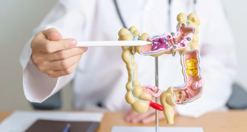 Autos en Argentina 2026: precios, financiaci&oacute;n y claves para decidir entre 0km y usados