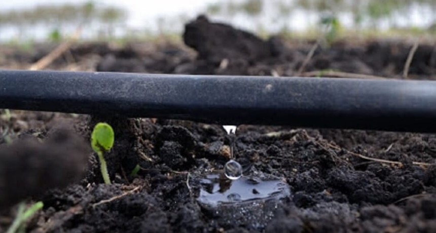 D&iacute;a Mundial del Agua: pautas y estrategias para garantizar su uso agr&iacute;cola eficiente y sustentable
