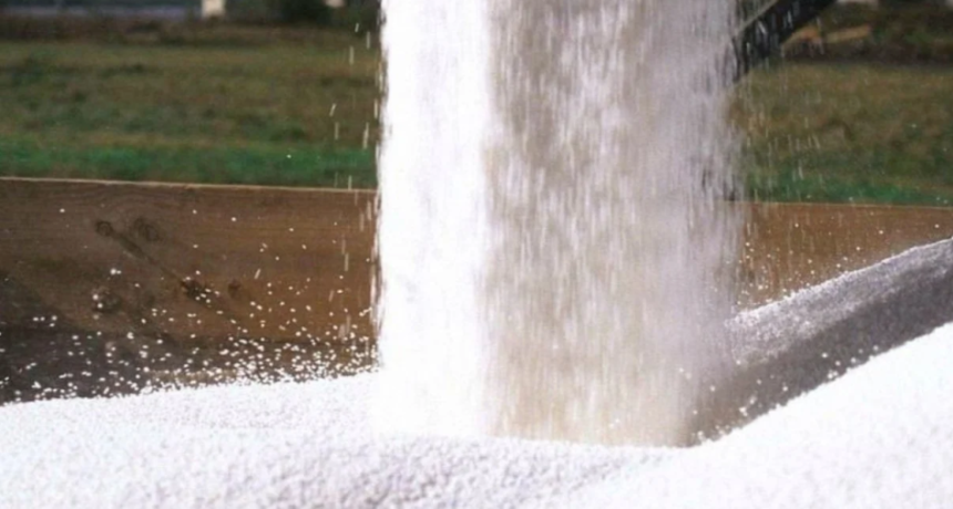 La importaci&oacute;n de fertilizantes alcanz&oacute; uno de sus niveles m&aacute;s altos en 2025