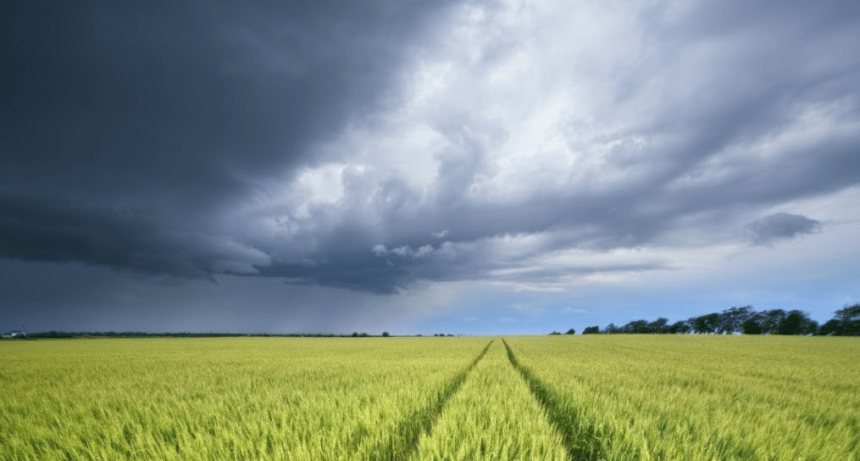 &ldquo;Las probabilidades de El Ni&ntilde;o son altas, eso es lo que tiene que tener en cuenta el productor&rdquo;