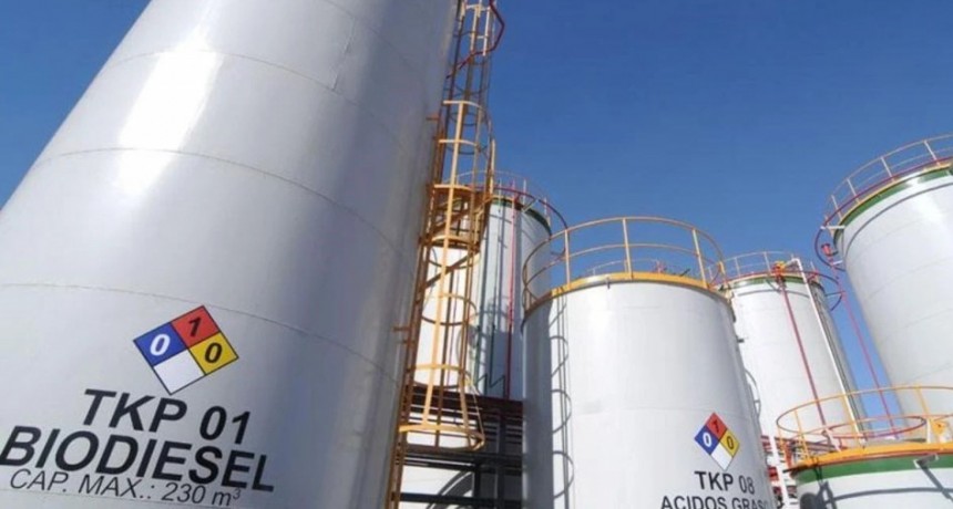 Pymes de biodiesel plantear&aacute;n un cupo de abastecimiento interno de aceite de soja