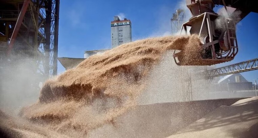 Alerta soja: el complejo aceitero frenaría su actividad a mediados de año por efecto de la sequía