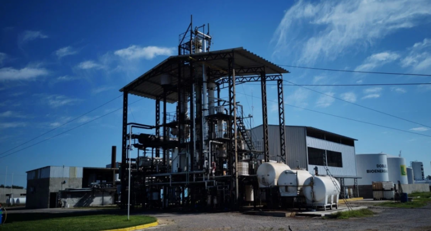 Biodiésel: mientras Brasil sube el corte al 12 %, en la Argentina no hay precio
