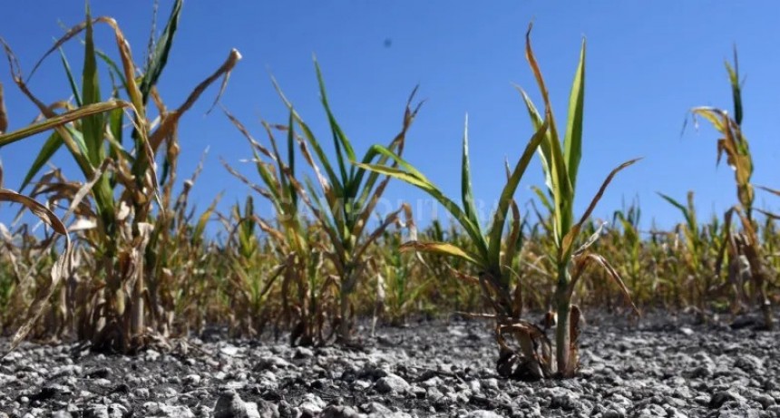 El desánimo impactará en las inversiones del agro 