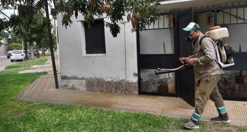 Clima, urbanización y movilidad: tres condiciones que favorecen la expansión del dengue en la región