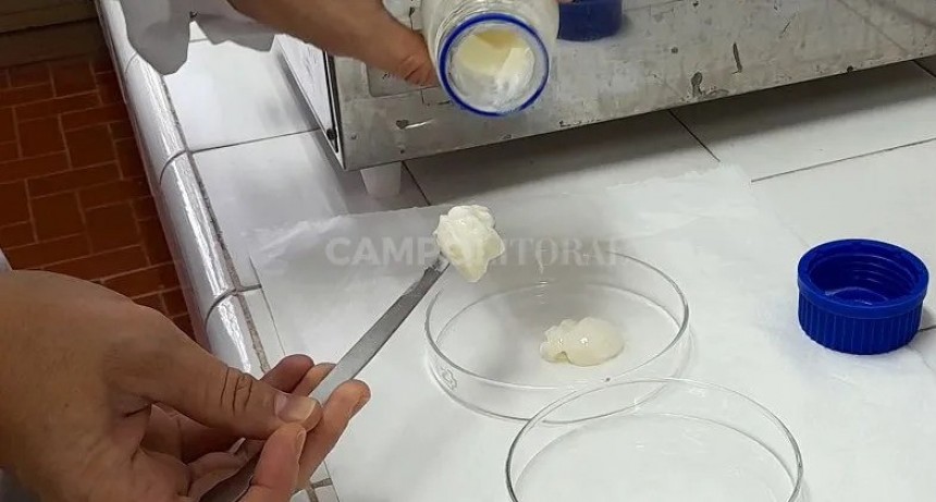 Geles de leche: un nuevo producto lácteo fortificado con calcio 