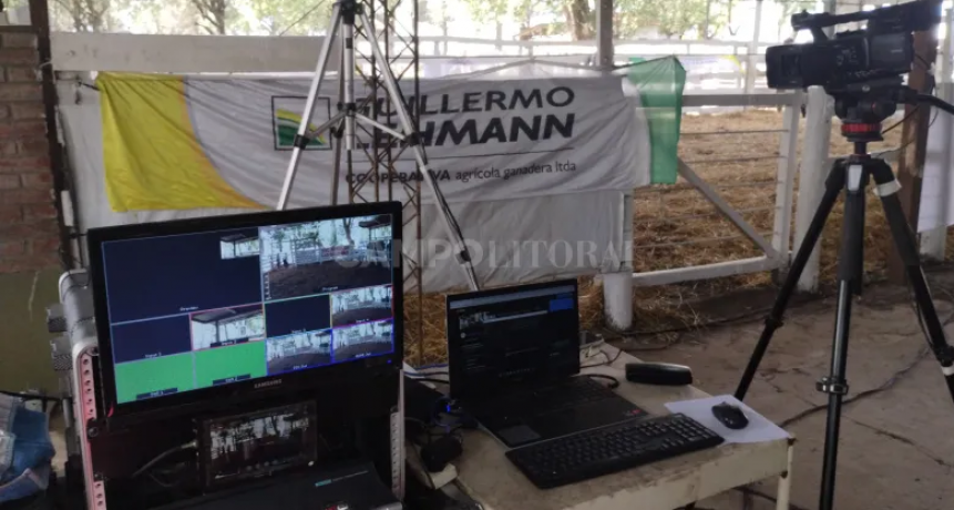 Repuntó el precio de la vaquillona de reposición en la subasta de la Vidriera Genética