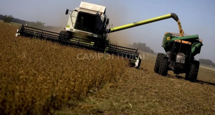  Casi el 7% de las retenciones nacionales las paga el centro norte santafesino