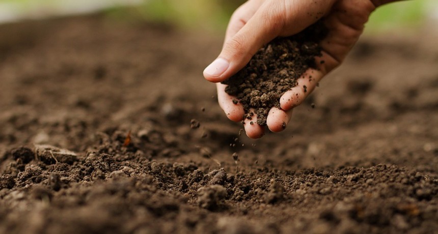 Los suelos de la Argentina almacenan el 2% de la reserva mundial de carbono