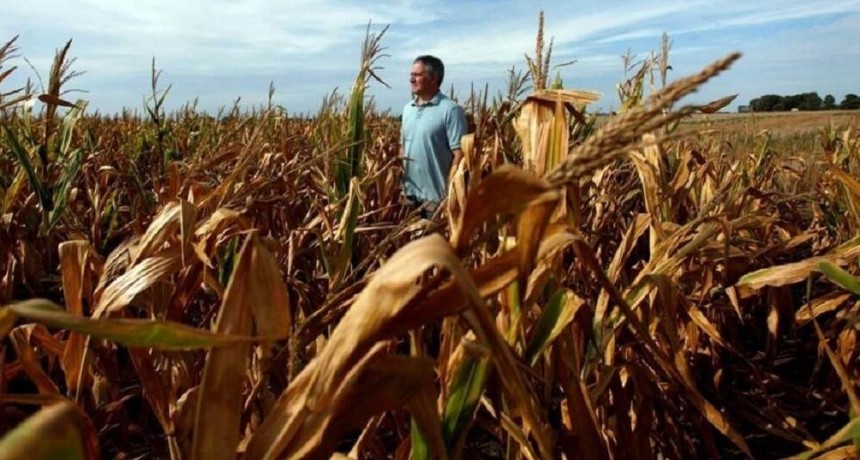 De la mano del BID, llega una nueva asistencia financiera para productores afectados por la sequía