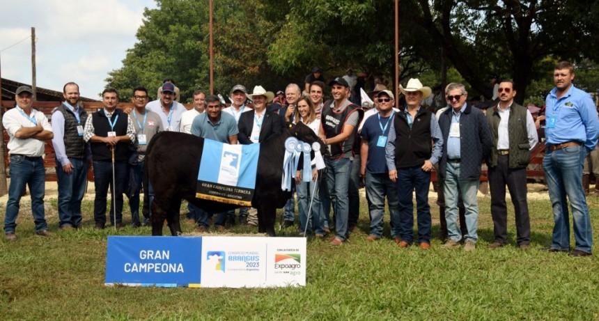 El Porvenir y La Victoria con los premios más importantes en la Nacional del Ternero Brangus