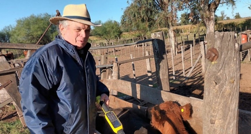 La oportunidad del pasto