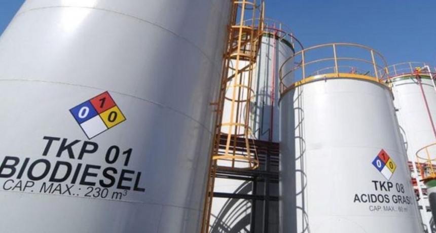 Biodiesel: pymes denuncian que el gobierno 