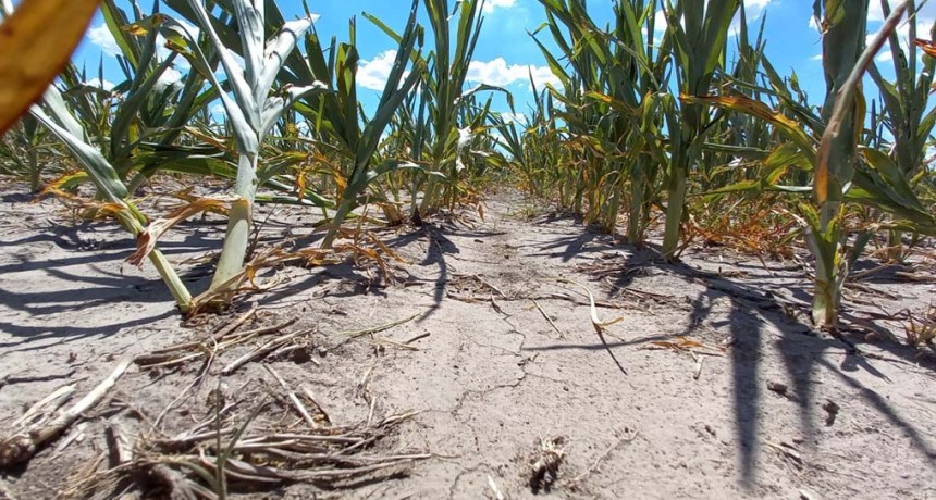 Fijan las condiciones para acceder a los beneficios fiscales por la sequía