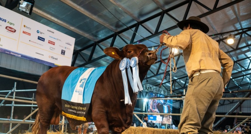 $38,5 millones por la mitad del Gran Campeón