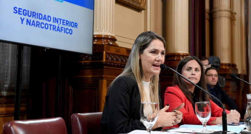 El Senado constituyó cuatro comisiones: Carolina Losada quedó a cargo de Seguridad y Narcotráfico