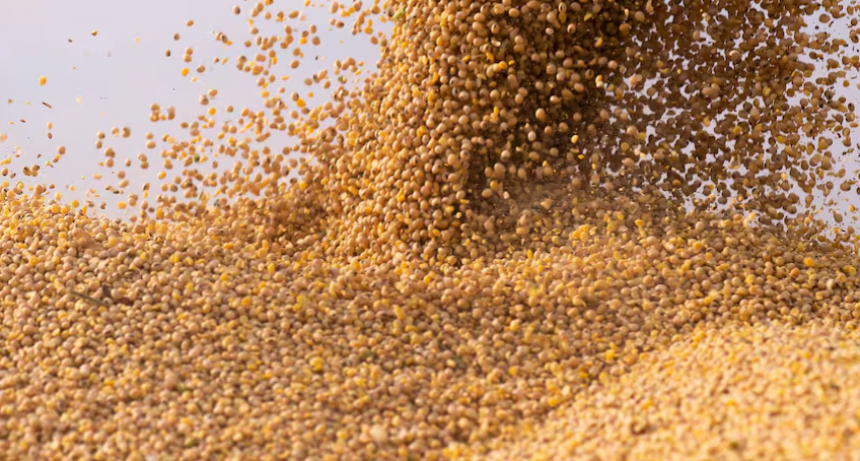 En marzo se negoció un 15% más de soja 2023/2024 que en febrero