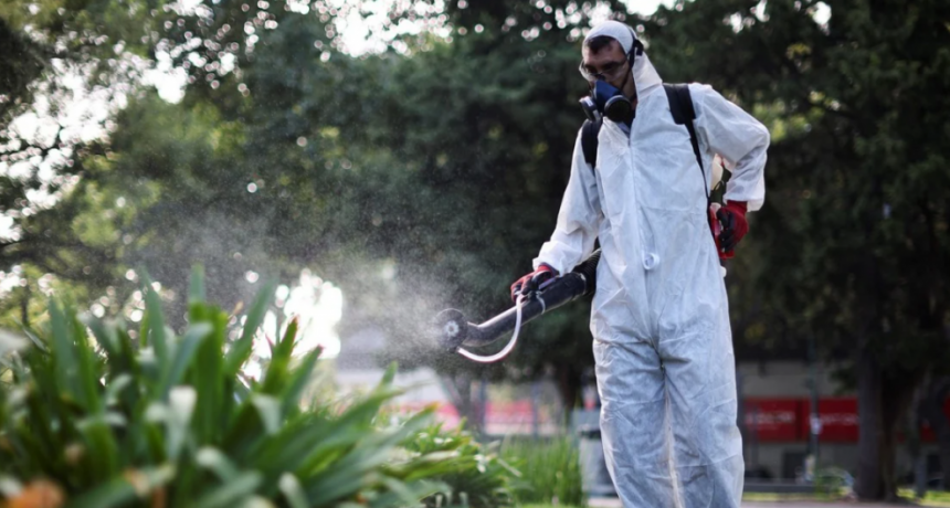 Dengue: Argentina ya registró 230 mil casos y 161 muertos