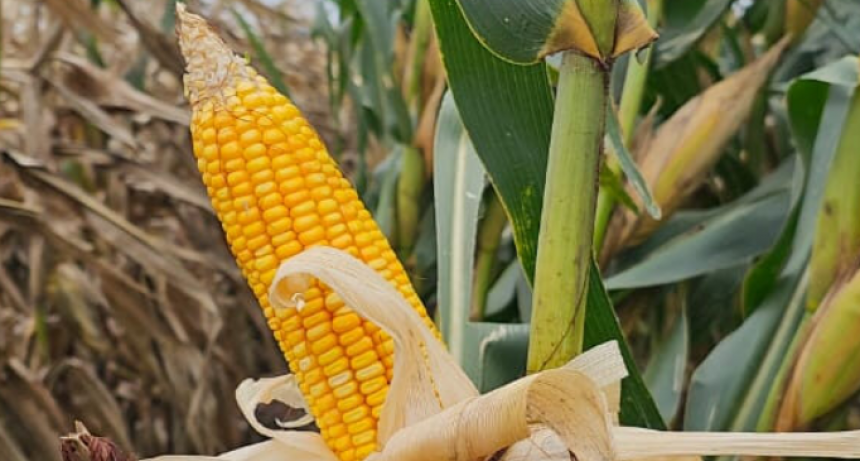 Los estatales cobrarán el aumento acordado el lunes que viene